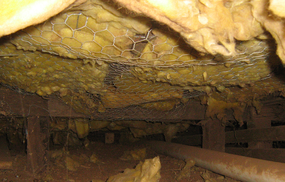 Fibreglass underfloor insulation can easily be pulled apart by rodents as they favour it as nesting material.