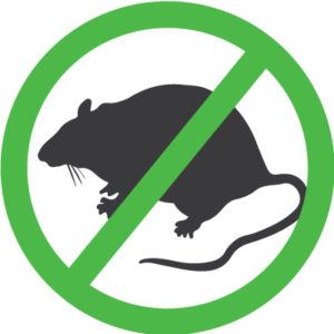 ecoMaster's polyester underfloor insulation does not attract rodents