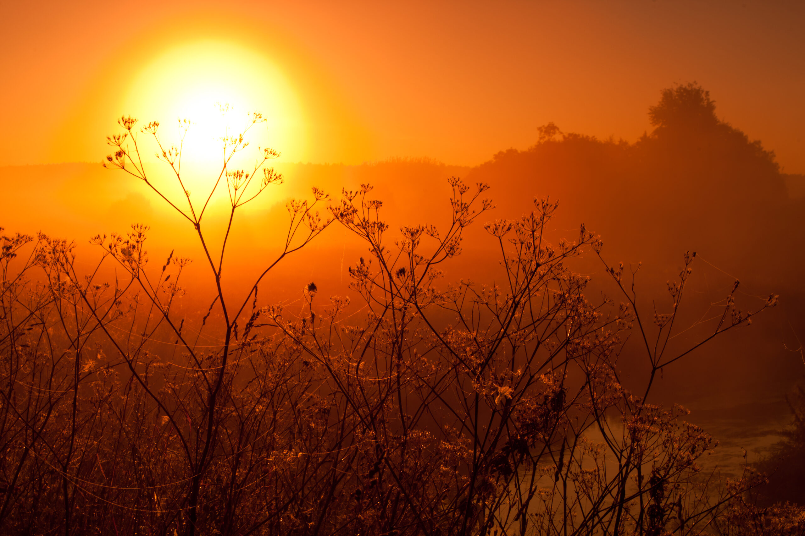 Hot summer in Australia